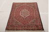 Bidjar Multicolor Hand Knotted 210 X 49  Area Rug 155-75931 Thumb 2