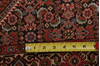 Bidjar Multicolor Hand Knotted 210 X 49  Area Rug 155-75931 Thumb 5