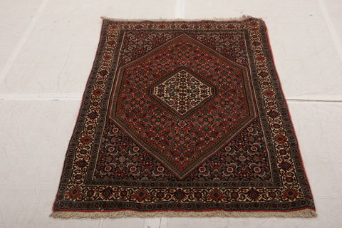 Bidjar Multicolor Hand Knotted 31 X 54  Area Rug 155-75932 Image 5