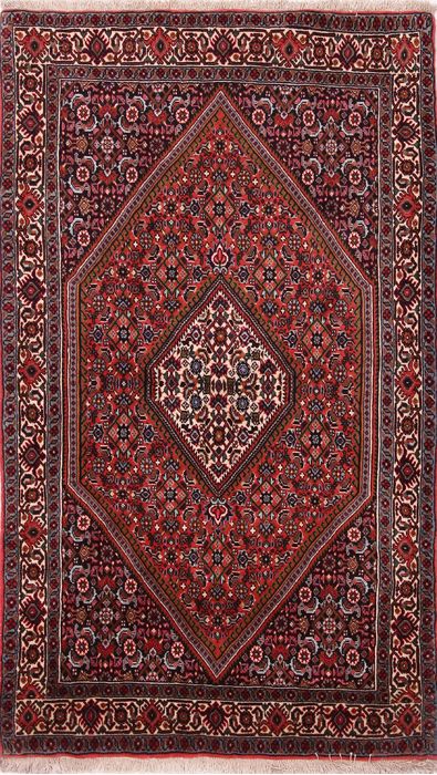 Bidjar Multicolor Hand Knotted 31 X 54  Area Rug 155-75932 Image 0
