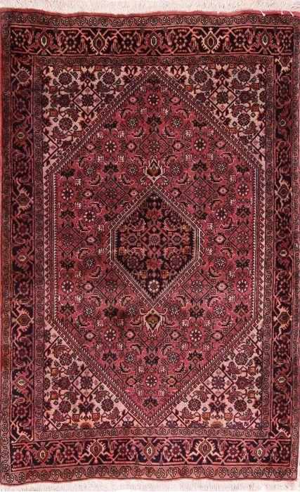 Bidjar Multicolor Hand Knotted 29 X 46  Area Rug 155-75934 Image 0