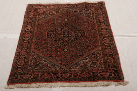 Bidjar Multicolor Hand Knotted 29 X 47 Area Rug 155-75935 Image 1