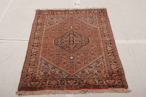 Bidjar Multicolor Hand Knotted 29 X 47 Area Rug 155-75935 Image 2