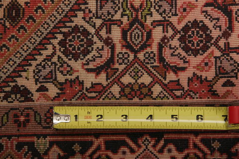 Bidjar Multicolor Hand Knotted 29 X 47 Area Rug 155-75935 Image 5