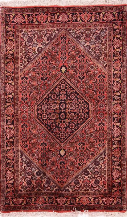 Bidjar Multicolor Hand Knotted 29 X 47 Area Rug 155-75935 Image 0