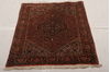 Bidjar Multicolor Hand Knotted 29 X 47 Area Rug 155-75935 Thumb 1