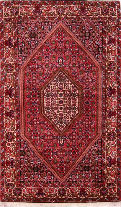 Bidjar Multicolor Hand Knotted 211 X 410 Area Rug 155-75936 Image 0