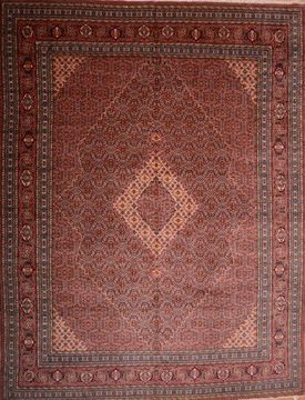 Sarab Red Hand Knotted 11'10" X 15'8"  Area Rug 100-75968