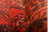 Khan Mohammadi Red Hand Knotted 37 X 63 Area Rug 100-76112 Thumb 8
