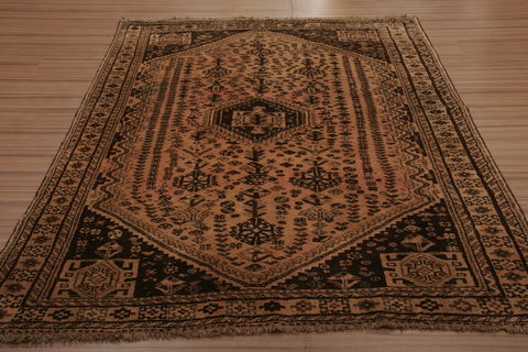 Shiraz Multicolor Hand Knotted 57 X 84  Area Rug 155-76179 Image 1