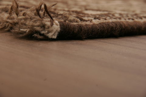 Shiraz Multicolor Hand Knotted 57 X 84  Area Rug 155-76179 Image 5