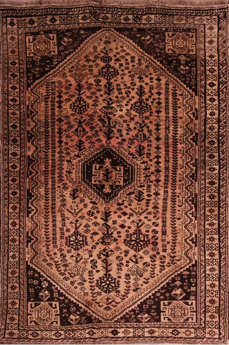 Shiraz Multicolor Hand Knotted 57 X 84  Area Rug 155-76179 Image 0