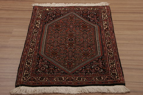 Bidjar Multicolor Hand Knotted 24 X 34  Area Rug 155-76361 Image 1