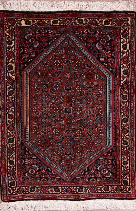 Bidjar Multicolor Hand Knotted 24 X 34  Area Rug 155-76361 Image 0
