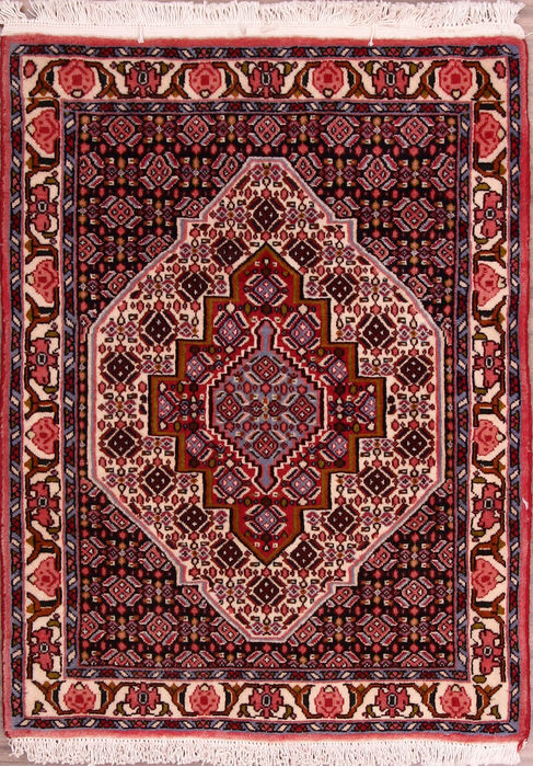 Sanandaj Multicolor Hand Knotted 25 X 33 Area Rug 155-76368 Image 0