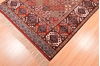 Baluch Multicolor Hand Knotted 39 X 55  Area Rug 100-76420 Thumb 4