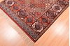 Baluch Multicolor Hand Knotted 39 X 55 Area Rug 100-76420 Thumb 4