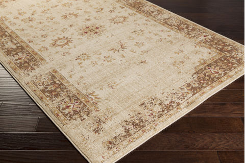 Surya Arabesque Brown 27 X 47 Area Rug ABS3033-2747 800-76638 Image 1