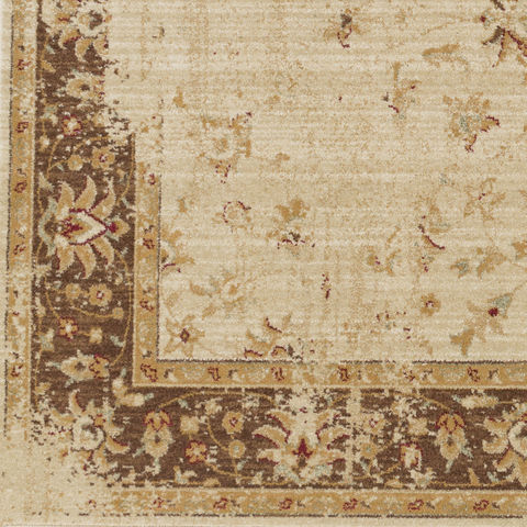 Surya Arabesque Brown 27 X 47 Area Rug ABS3033-2747 800-76638 Image 2