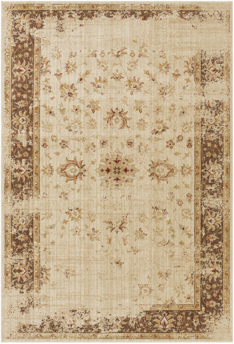 Surya Arabesque Brown 27 X 47 Area Rug ABS3033-2747 800-76638 Image 0