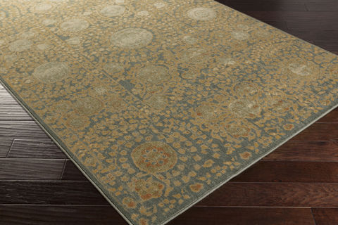 Surya Arabesque Grey 27 X 47 Area Rug ABS3060-2747 800-76710 Image 1