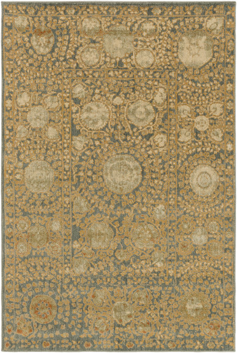 Surya Arabesque Grey 27 X 47 Area Rug ABS3060-2747 800-76710 Image 0