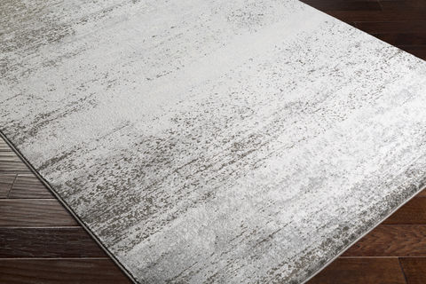 Surya Amadeo Multicolor 53 X 73 Area Rug ADO1008-5373 800-76768 Image 1