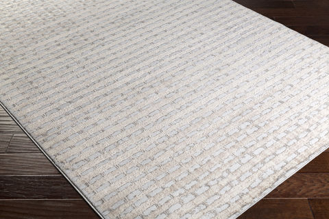 Surya Amadeo Multicolor 20 X 37 Area Rug ADO1012-237 800-76779 Image 1