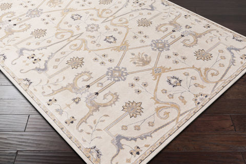 Surya Andromeda White 53 X 76 Area Rug ANM1000-5376 800-76898 Image 1