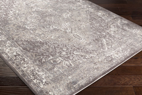 Surya Apricity Grey 80 X 100 Area Rug APY1000-810 800-76924 Image 1