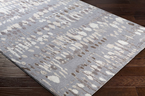 Surya Apricity Brown 20 X 30 Area Rug APY1010-23 800-76946 Image 1