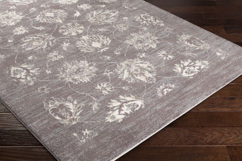 Surya Apricity Beige 80 X 100 Area Rug APY1011-810 800-76951 Image 1