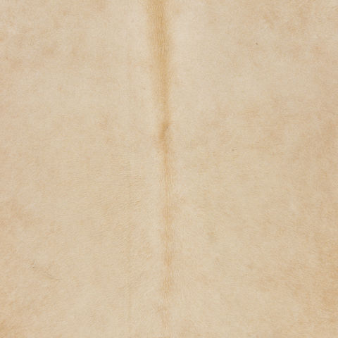 Surya Archer Beige Square 80 X 80 Area Rug ARH5000-8SQ 800-77022 Image 2