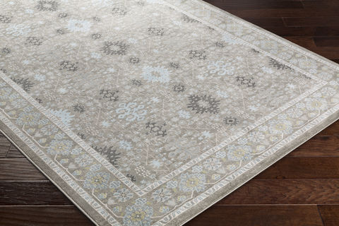 Surya Allegro Grey 52 X 76 Area Rug ARO1002-5276 800-77091 Image 1