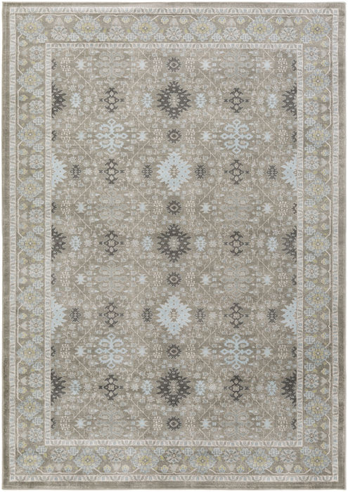Surya Allegro Grey 52 X 76 Area Rug ARO1002-5276 800-77091 Image 0