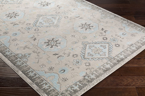 Surya Allegro Brown 76 X 106 Area Rug ARO1005-76106 800-77101 Image 1