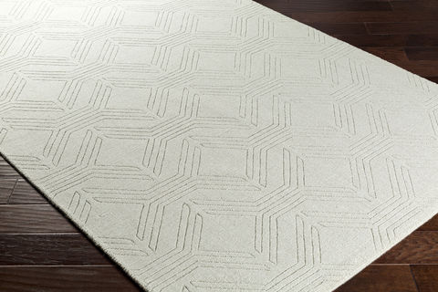 Surya Ashlee Green 50 X 76 Area Rug ASL1008-576 800-77160 Image 1