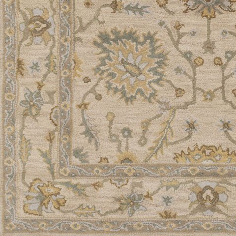 Surya Athena Multicolor 90 X 120 Area Rug ATH5145-912 800-77223 Image 2