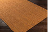 Surya Brice Orange 50 X 76 Area Rug BIC7005-576 800-77468 Thumb 1