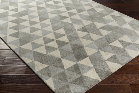Surya Brilliance Grey 36 X 56 Area Rug BRL2011-3656 800-77641 Image 1