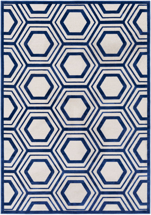 Surya Basilica Blue 52 X 76 Area Rug BSL7219-5276 800-77738 Image 0