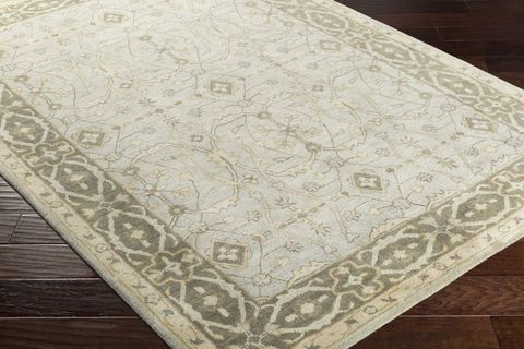Surya Blumenthal Green 60 X 90 Area Rug BUH1006-69 800-77790 Image 1