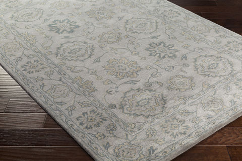 Surya Blumenthal Brown 60 X 90 Area Rug BUH1009-69 800-77801 Image 1