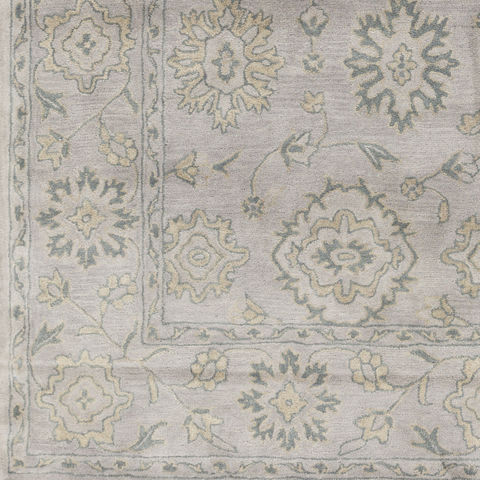 Surya Blumenthal Brown 60 X 90 Area Rug BUH1009-69 800-77801 Image 2