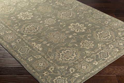 Surya Blumenthal Brown 50 X 76 Area Rug BUH1010-576 800-77804 Image 1
