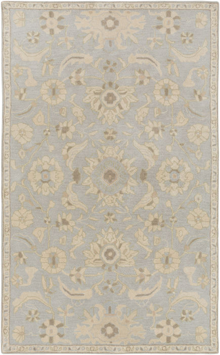 Surya Caesar Blue 20 X 30 Area Rug CAE1162-23 800-77857 Image 0