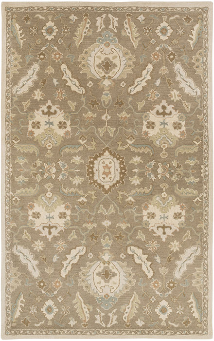 Surya Caesar Brown 20 X 30 Area Rug CAE1167-23 800-77877 Image 0