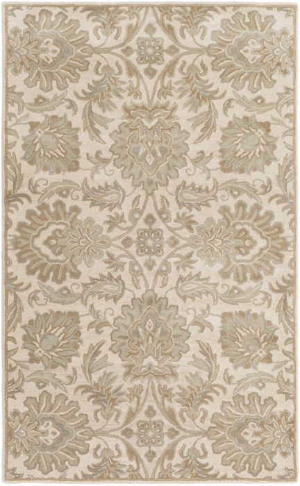 Surya Caesar White 50 X 80 Area Rug CAE1177-58 800-77904 Image 0