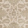 Surya Caesar White 50 X 80 Area Rug CAE1177-58 800-77904 Thumb 2