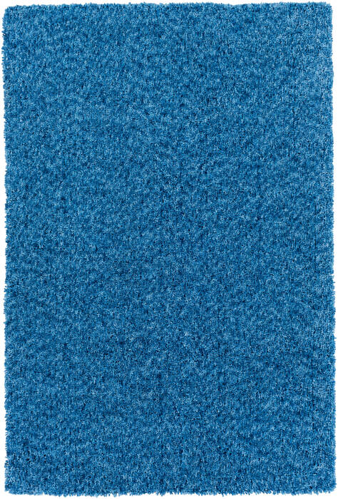 Surya Charlie Blue 20 X 30 Area Rug CHR2003-23 800-78120 Image 0